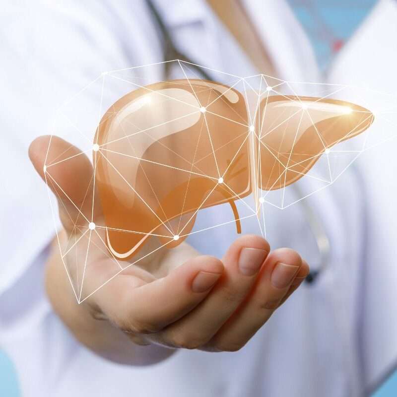 Liver Transplant
